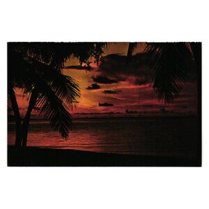 Vintage Florida Sunset Postcard Evening Palm Trees Vacation Beach Ocean Sunset